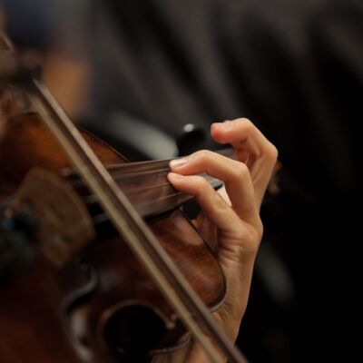 violin